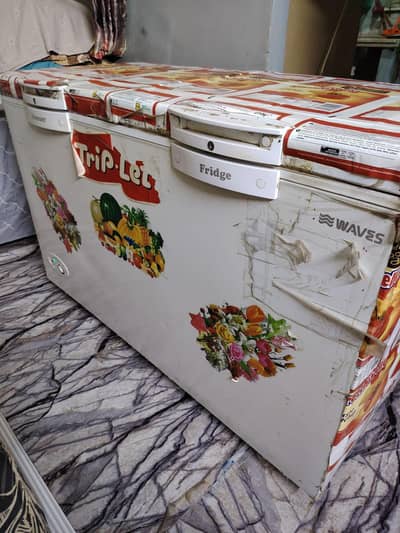 D freezer. compani Waves