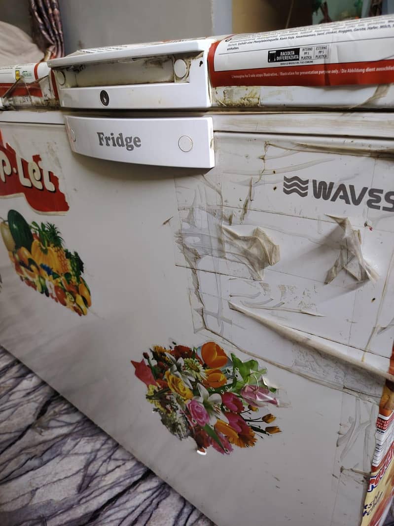 D freezer. compani Waves 3