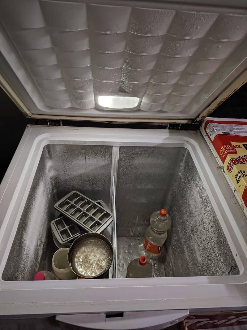 D freezer. compani Waves 4
