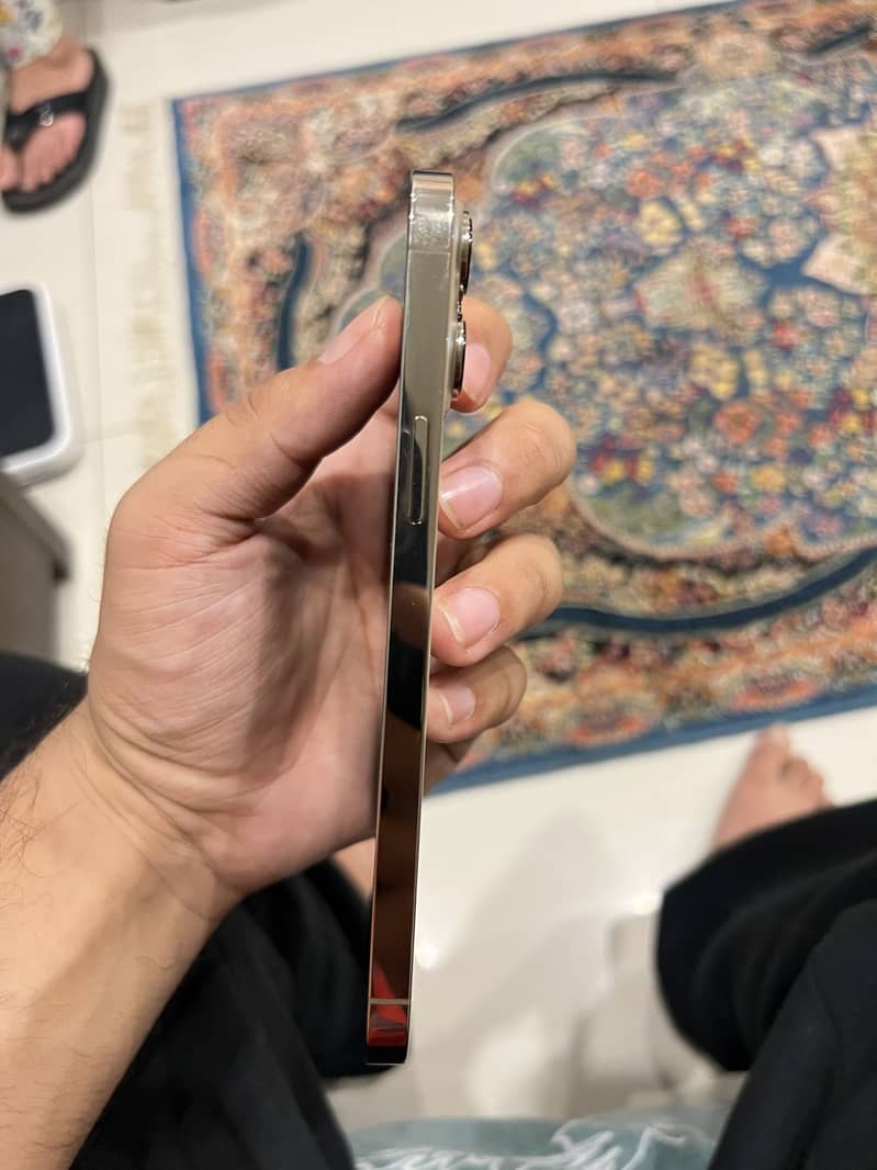 iPhone 13 Pro Max 2