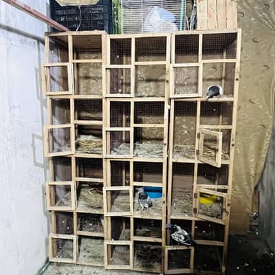 Cage For Sale