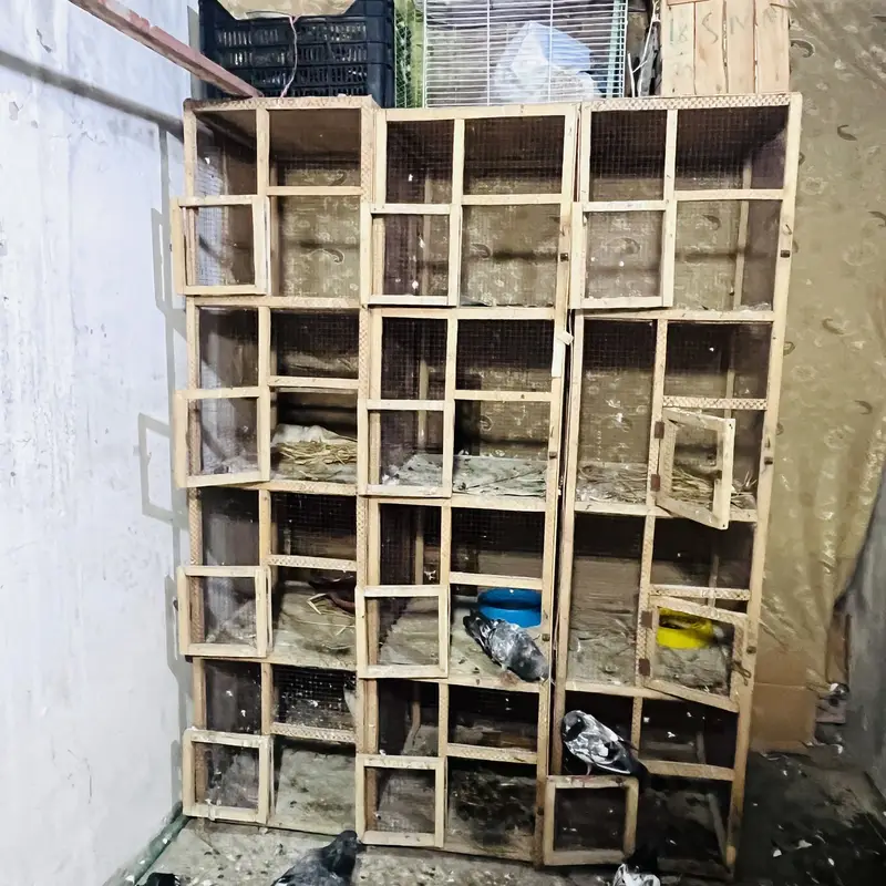 Cage For Sale — photo 2