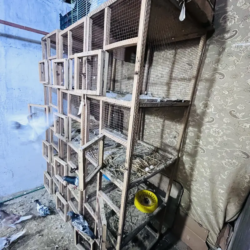 Cage For Sale — photo 3