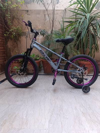 BDF 20" bicycle for sale ( slightly used )