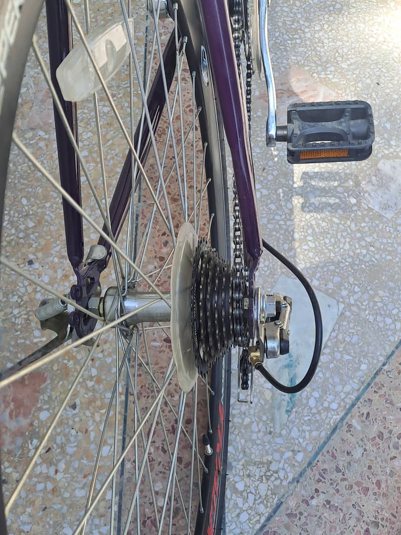 bicycle 2
