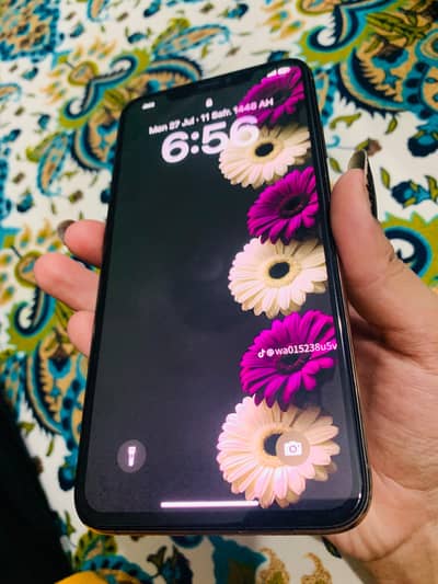 iphone XS max PTA approved