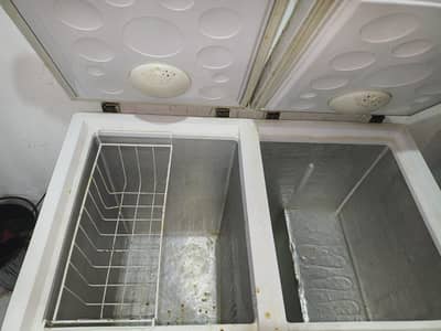 hair invertor deep freezer for sala chakri road