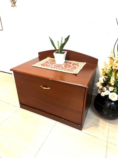 Beautiful Shoe rack just like a table