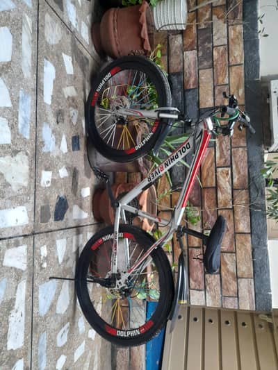 Cycle DOLPHIN RIVER