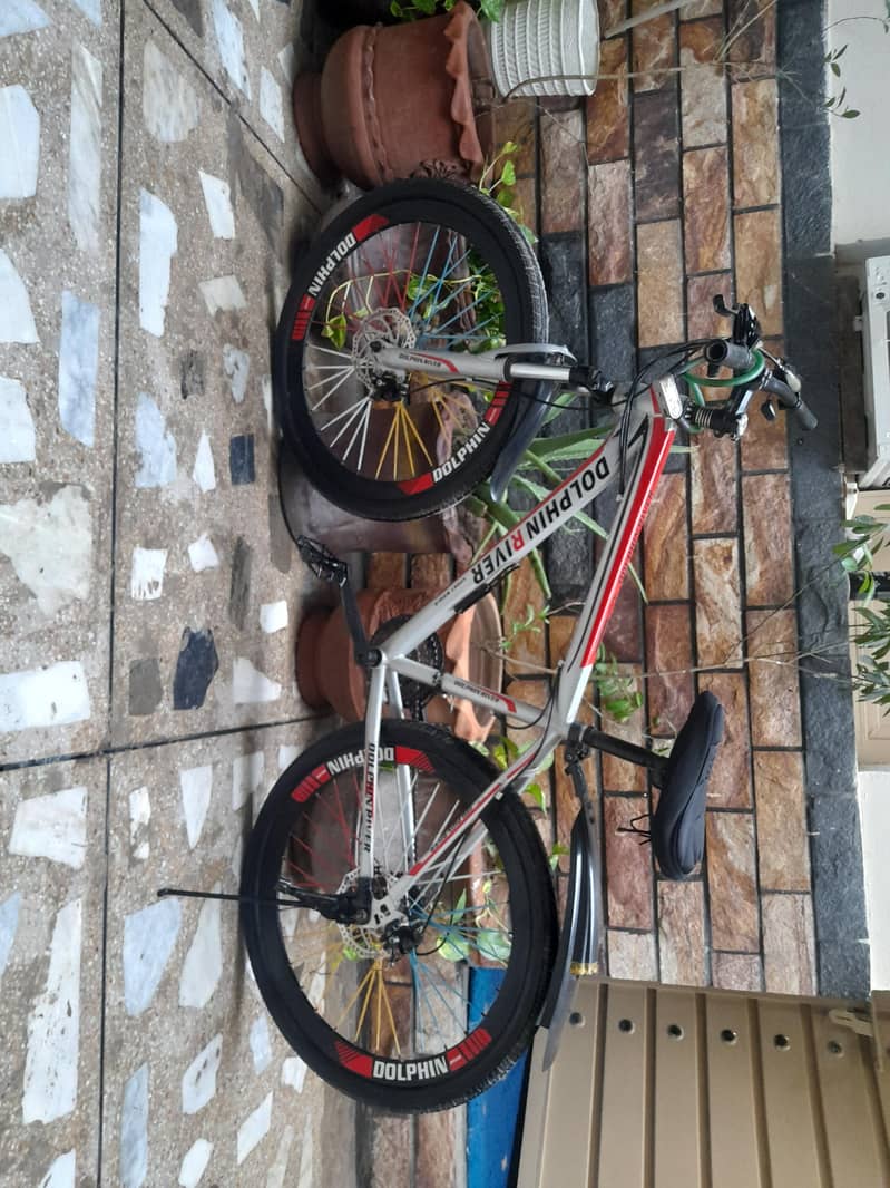 Cycle DOLPHIN RIVER 0