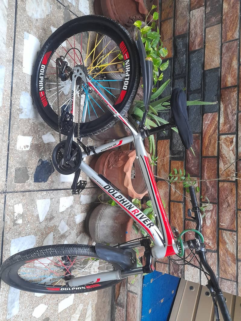 Cycle DOLPHIN RIVER 1