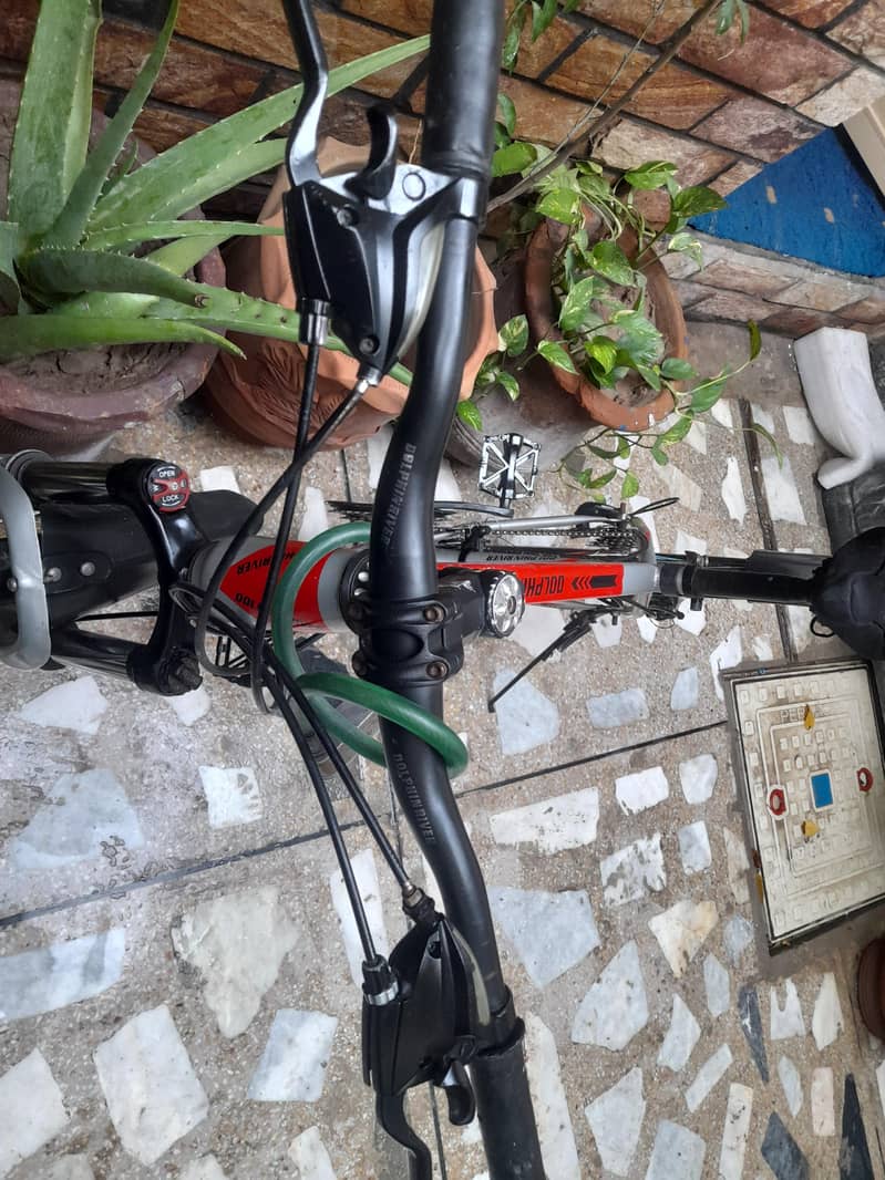 Cycle DOLPHIN RIVER 2