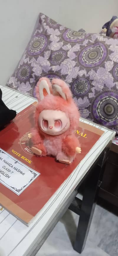 plz buy the labubu plz prize is 1500