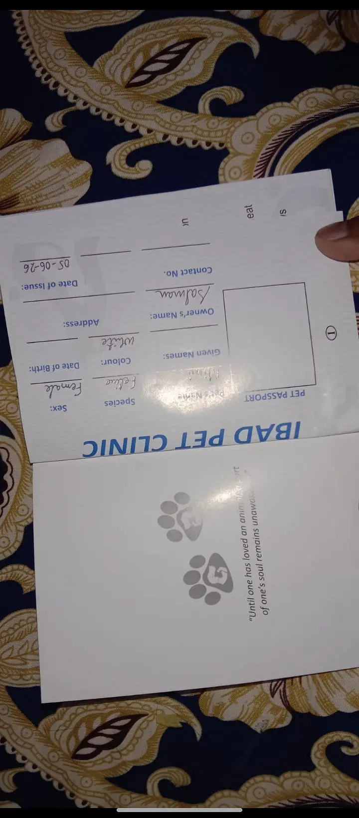 White Persian dubble cote — photo 3