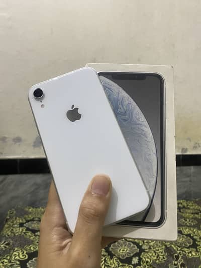 XR (Pta Approved  With Box)