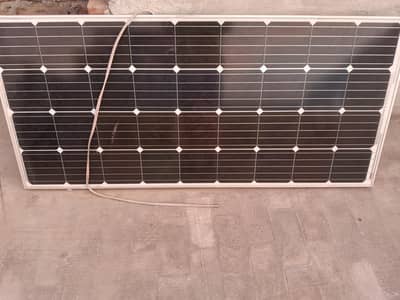 1plate solar 2year old