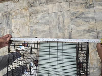 birds cage new condition 2500 2000 wala message krky sharminda na ho