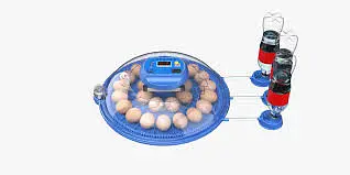 Imported Eggs Incubator Automatic Incubator Eggs Hatching Machine New — photo 3