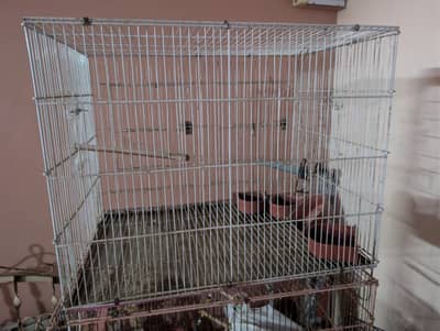 Cages (pinjra) for lovebirds