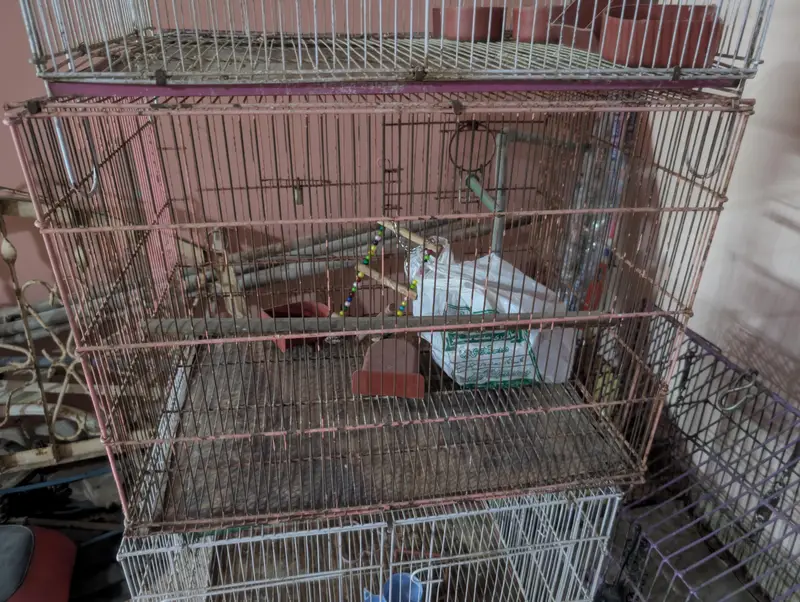 Cages (pinjra) for lovebirds — photo 4