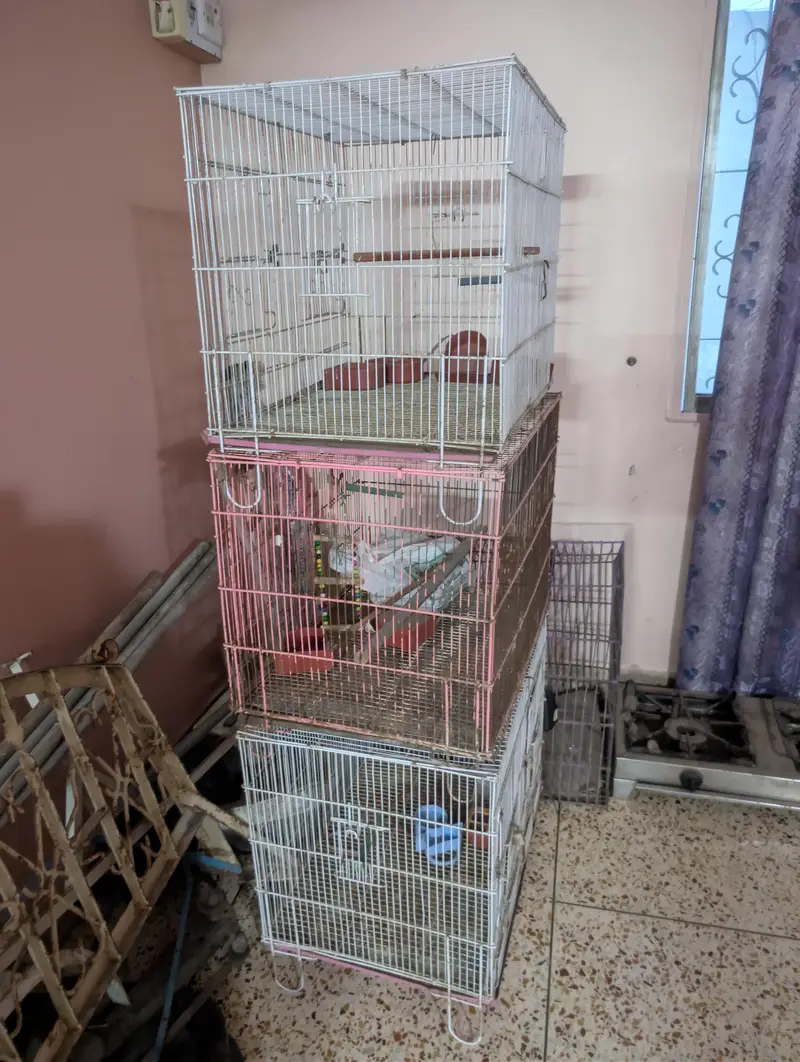 Cages (pinjra) for lovebirds — photo 5