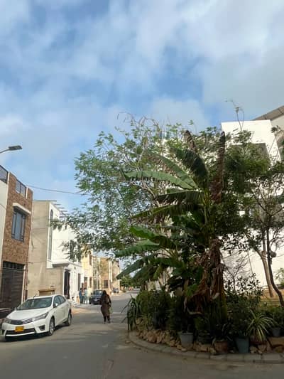 120 Yard Plot For Sale