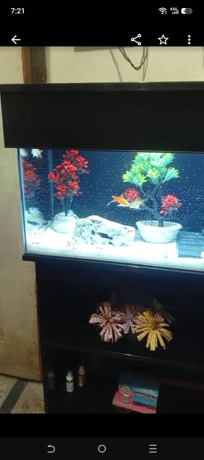 best aquarium