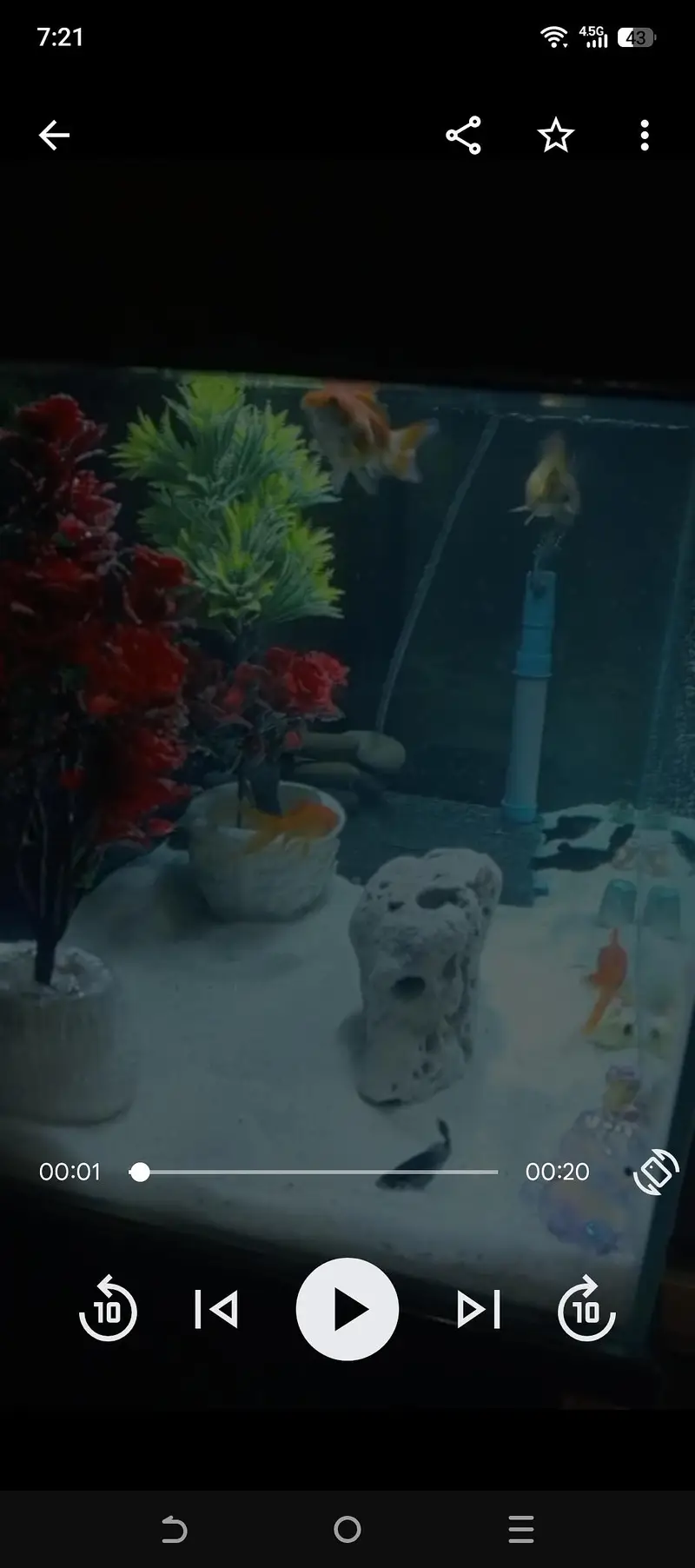 best aquarium — photo 2
