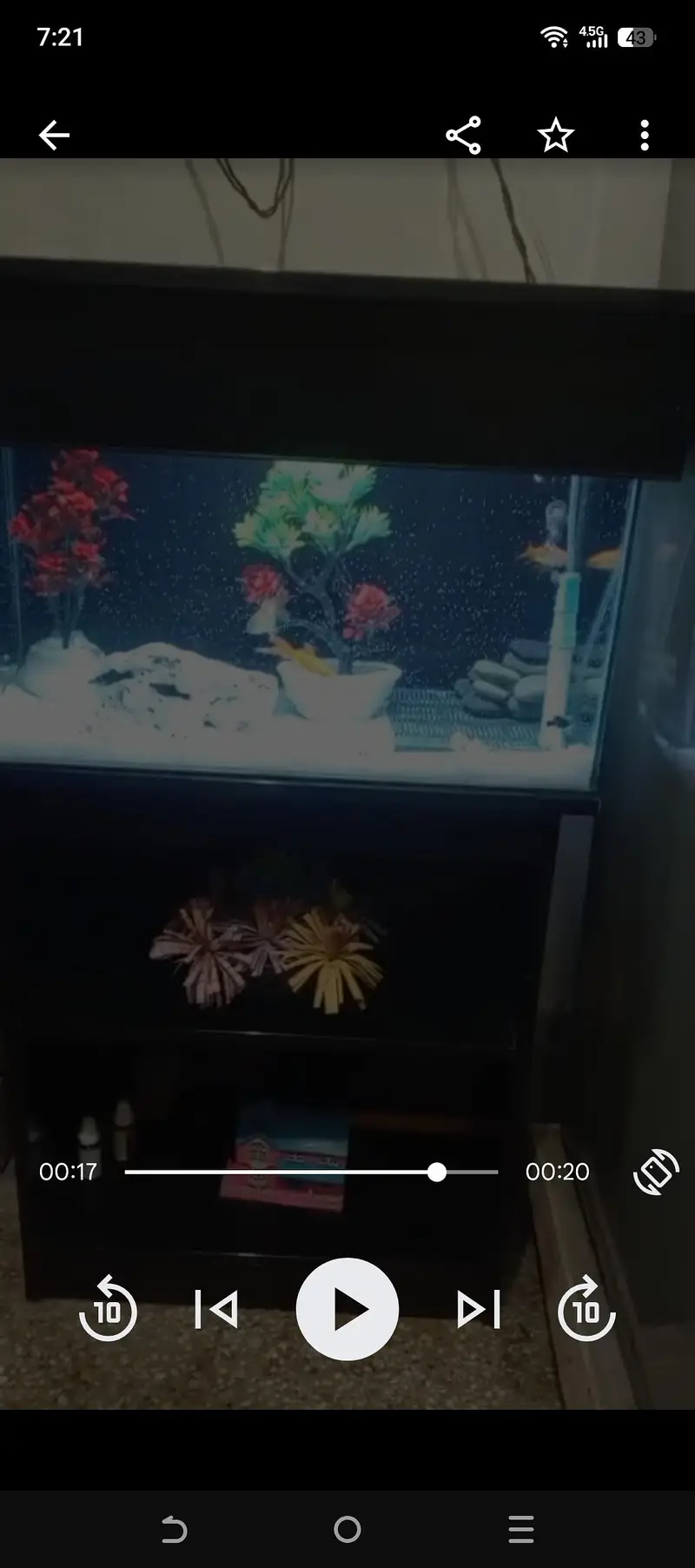 best aquarium — photo 3