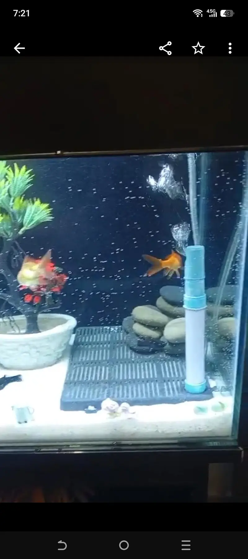 best aquarium — photo 4