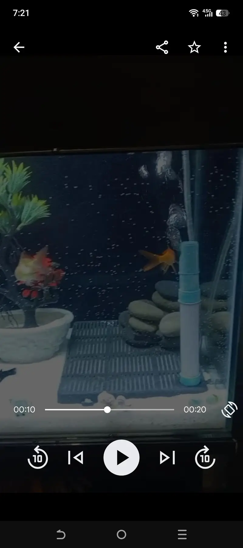 best aquarium — photo 5