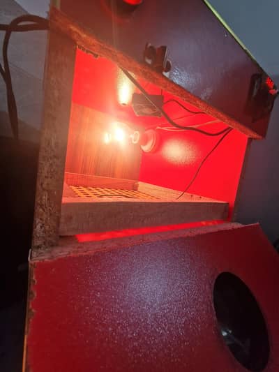 25 eggs incubator for sale.