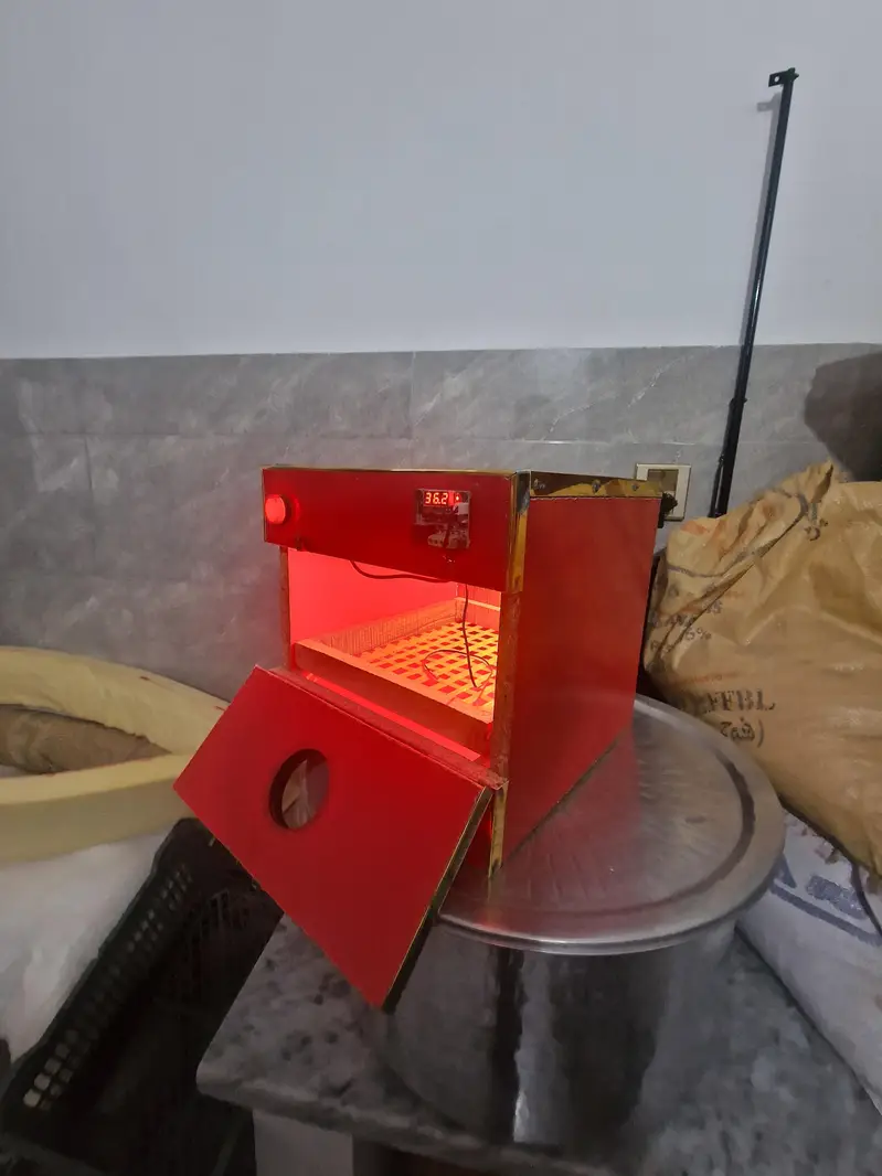 25 eggs incubator for sale. — photo 3