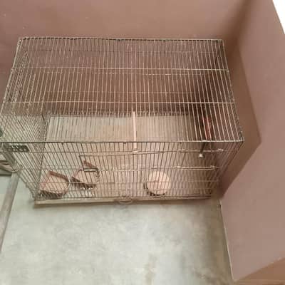 birds cage for sale