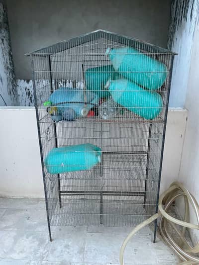 parrot cage for sell 10,000 PKR