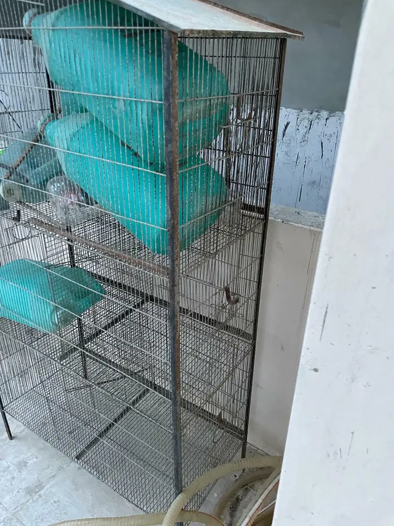parrot cage for sell 10,000 PKR — photo 4