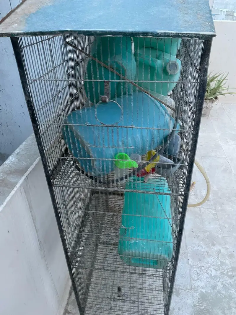parrot cage for sell 10,000 PKR — photo 5