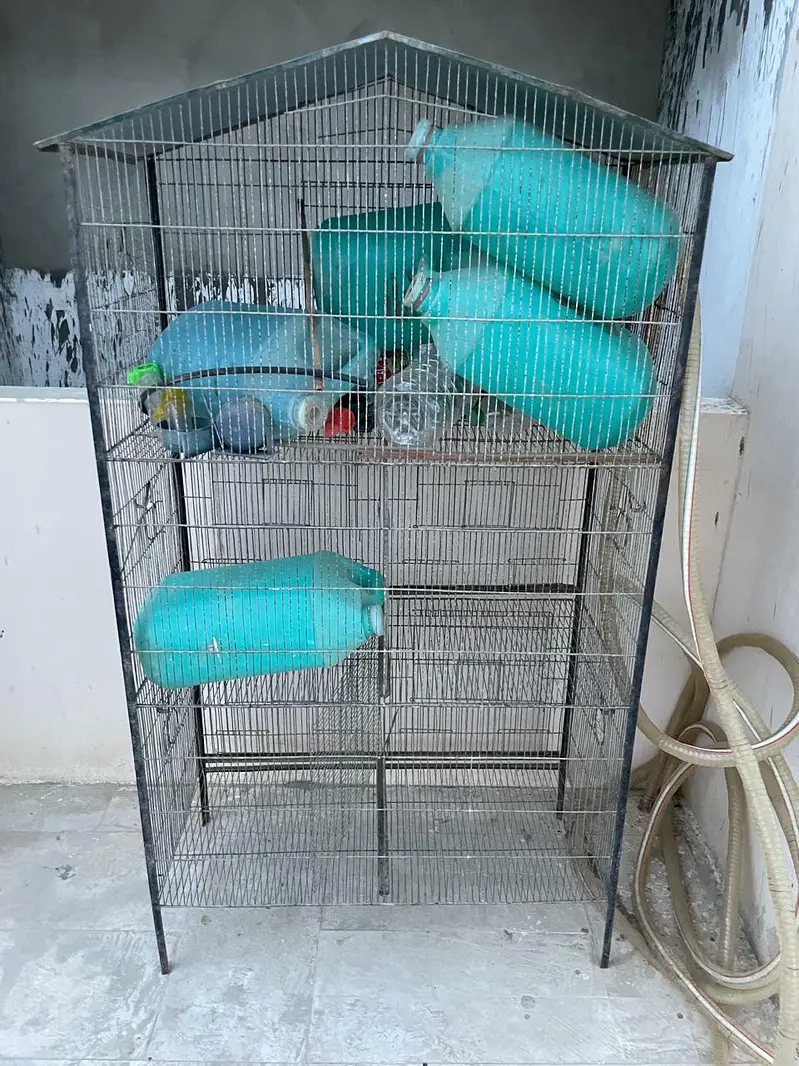 parrot cage for sell 10,000 PKR — photo 6