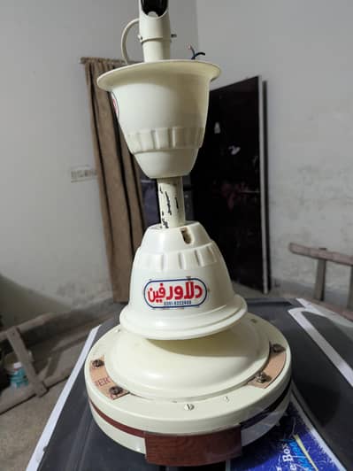 Diliver company fan for sale