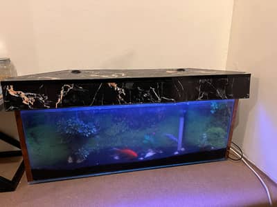 Aquarium - 4.5 ft long