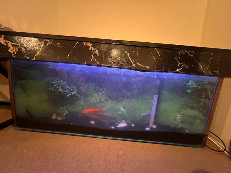 Aquarium - 4.5 ft long — photo 2