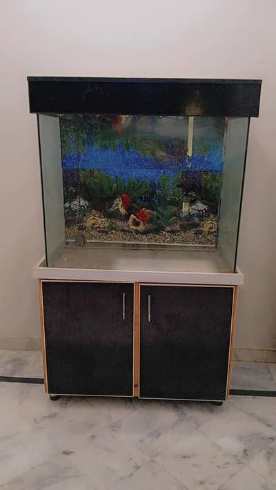 Fish aquarium