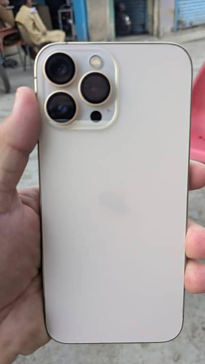 Apple iPhone 13 Pro Max