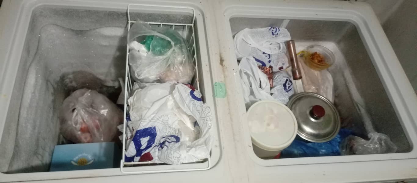 Deep freezer Dawlance 2