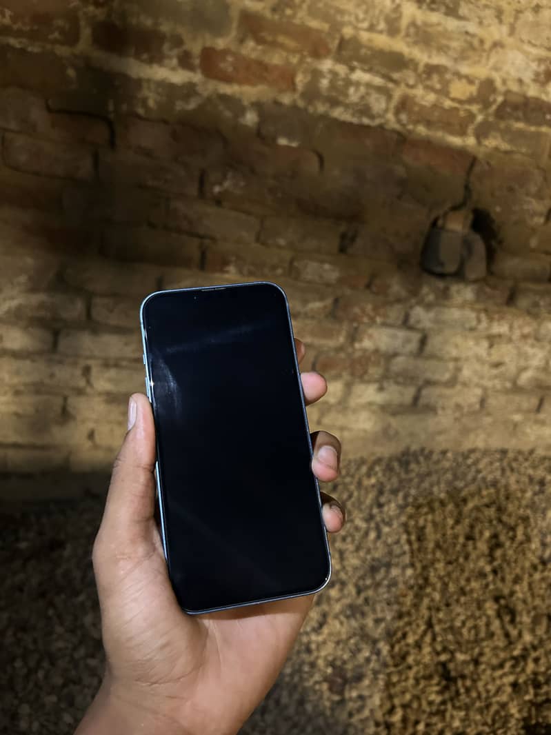 Apple iPhone 13 0