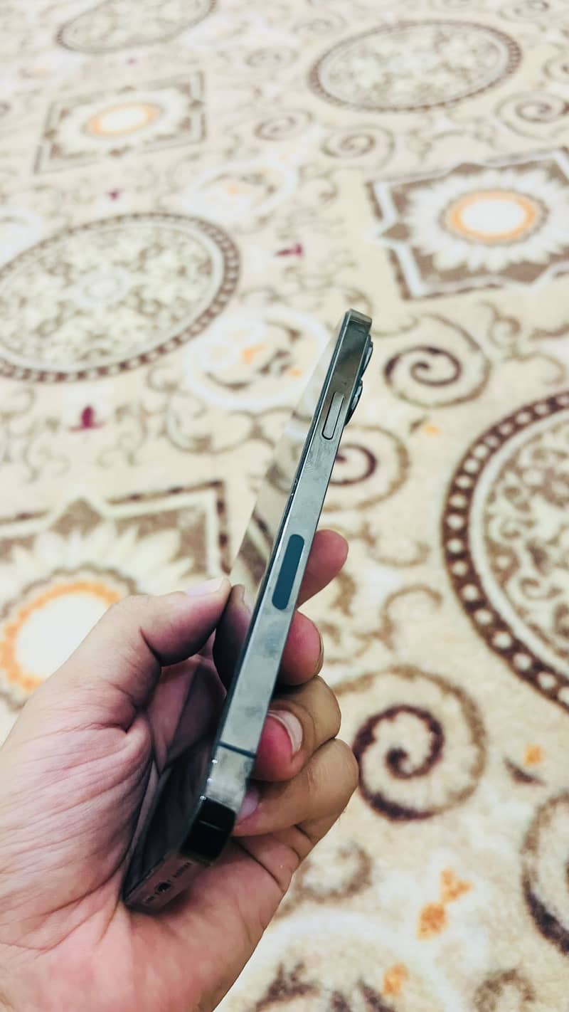 Apple iPhone 13 Pro Max 1