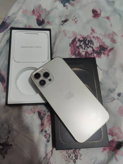 Apple iPhone 12 Pro Max