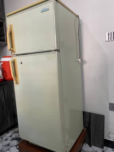 Fridge & Freezer