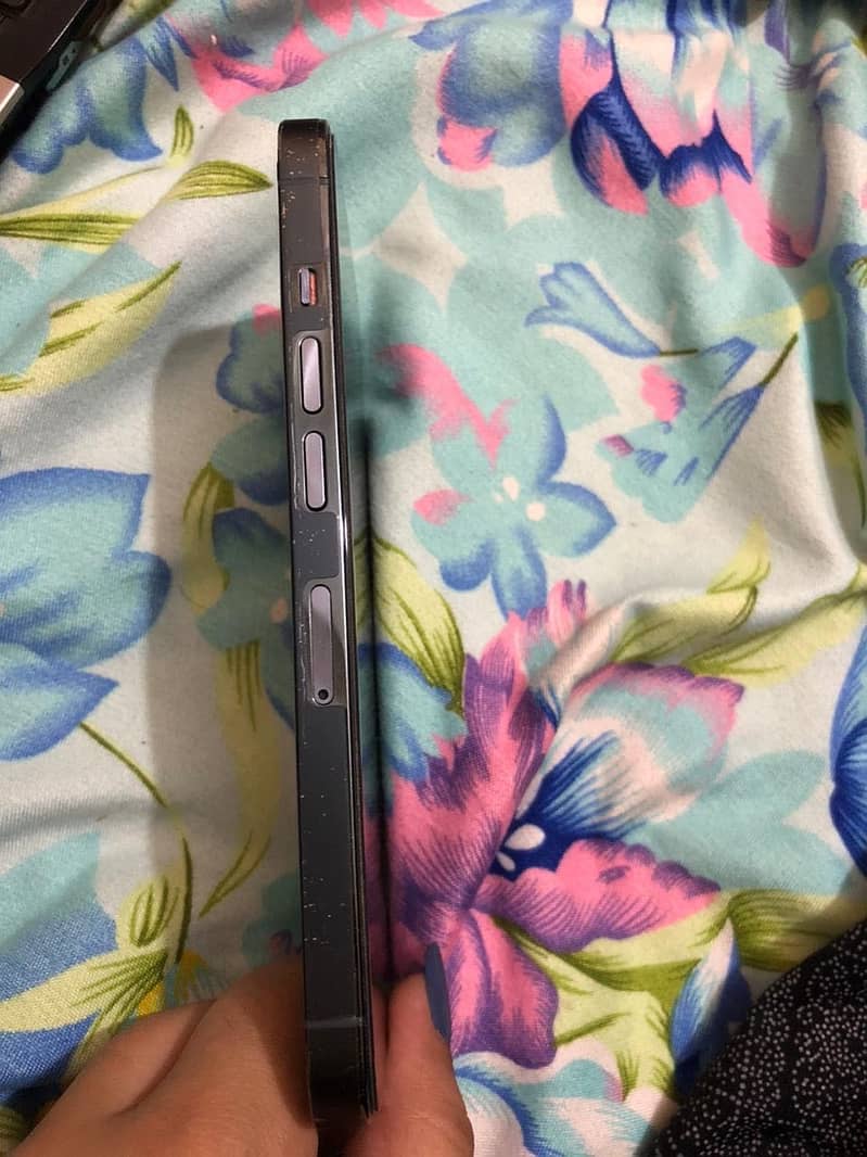 Apple iPhone 13 Pro 2