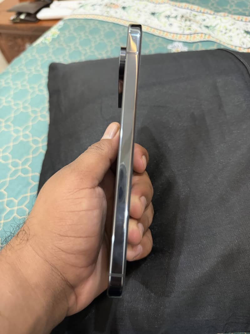 Google Pixel 9 Pro XL 1